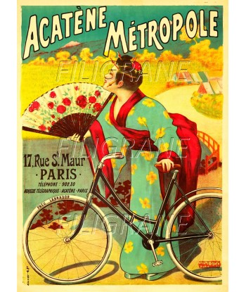 ACATèNE MéTROPOLE VéLO Rpbn-POSTER/REPRODUCTION d1 AFFICHE VINTAGE la colonne vertébrale