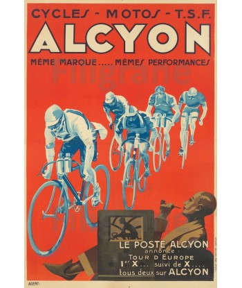 VéLO/CYCLES ALCYON Rf191-POSTER/REPRODUCTION d1 AFFICHE VINTAGE une grave pollution 