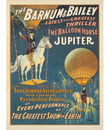 CIRQUE: BARNUM & BAILEY Réf023:POSTER/REPRODUCTION d1 AFFICHE VINTAGE paiement sécurisé