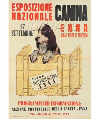 EXPO CANINE ENNA Rsxf-POSTER/REPRODUCTION d1 AFFICHE VINTAGE Toutes les collections ici