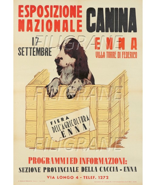 EXPO CANINE ENNA Rsxf-POSTER/REPRODUCTION d1 AFFICHE VINTAGE Toutes les collections ici