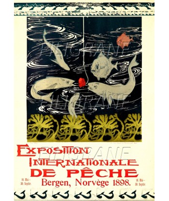 EXPO PêCHE NORVèGE 1898 Radm-POSTER/REPRODUCTION d1 AFFICHE VINTAGE Amélioration de cerveau avec