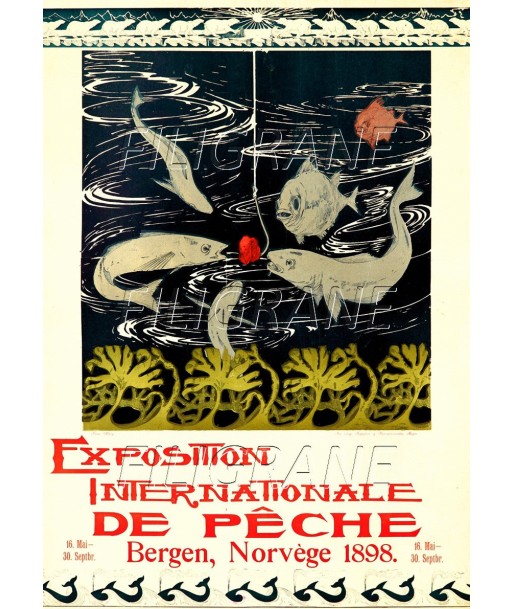 EXPO PêCHE NORVèGE 1898 Radm-POSTER/REPRODUCTION d1 AFFICHE VINTAGE Amélioration de cerveau avec