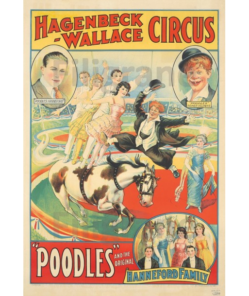 POODLES CIRQUE Rloj-POSTER/REPRODUCTION d1 AFFICHE VINTAGE pas cher chine