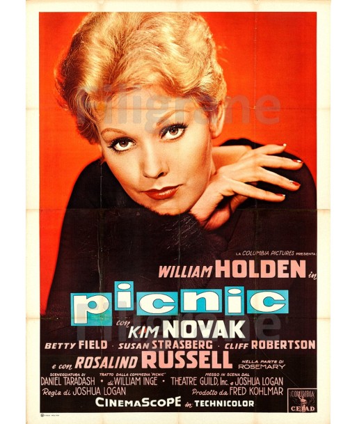 PICNIC FILM Rkqq-POSTER/REPRODUCTION d1 AFFICHE VINTAGE de la marque