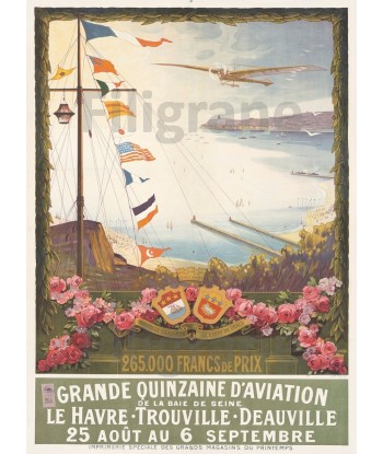 AVIATION HAVRE TROUVILLE-POSTER/REPRODUCTION d1 AFFICHE VINTAGE Pour