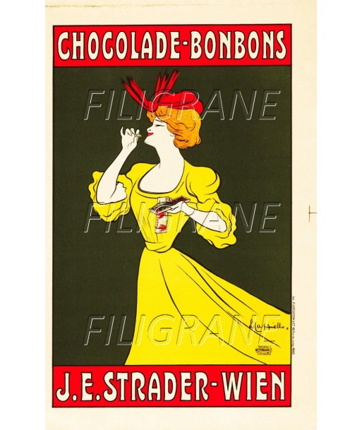 PUB J.E STRADER WIEN CHOCOLADE Rfja-POSTER/REPRODUCTION d1 AFFICHE VINTAGE s'inspire de l'anatomie humaine