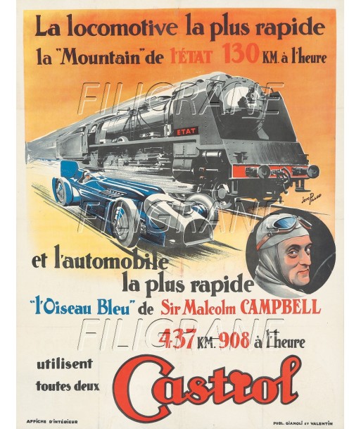 AIRLINES L'OISEAU BLEU M. CAMPBELL Rspl-POSTER/REPRODUCTION d1 AFFICHE VINTAGE les ctes