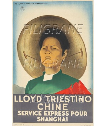 BATEAUX LLYOD TRIESTINO CHINE Rlvu-POSTER/REPRODUCTION d1 AFFICHE VINTAGE outlet