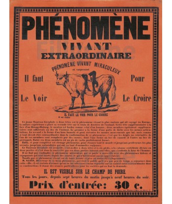 CIRQUE PhéNOMèNE VIVANT ANIMAUX Ryit-POSTER/REPRODUCTION d1 AFFICHE VINTAGE pas chere