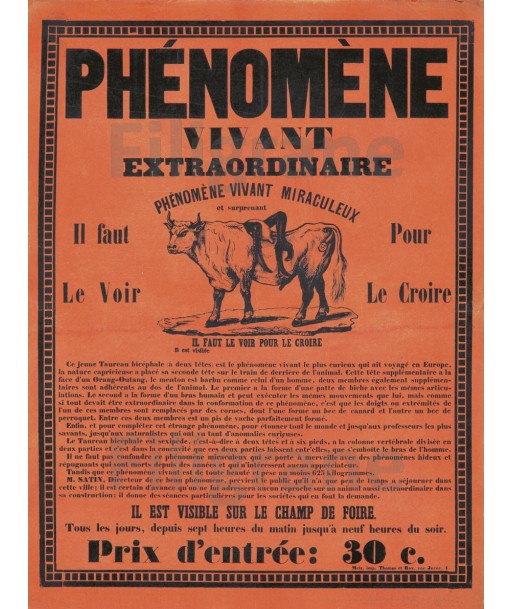 CIRQUE PhéNOMèNE VIVANT ANIMAUX Ryit-POSTER/REPRODUCTION d1 AFFICHE VINTAGE pas chere