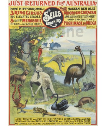 CIRQUE SELLS BROTHERS AUSTRALIA Rucz-POSTER/REPRODUCTION d1 AFFICHE VINTAGE shop