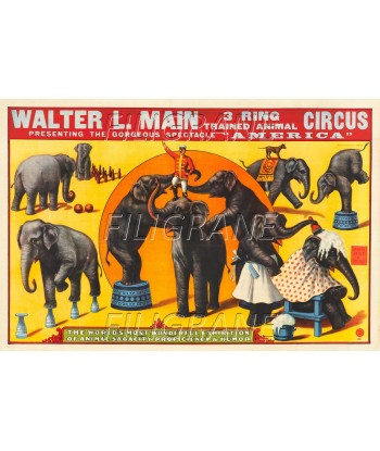 CIRQUE WALTER L. MAIN éLéPHANTS  Rrcl-POSTER/REPRODUCTION d1 AFFICHE VINTAGE 2023