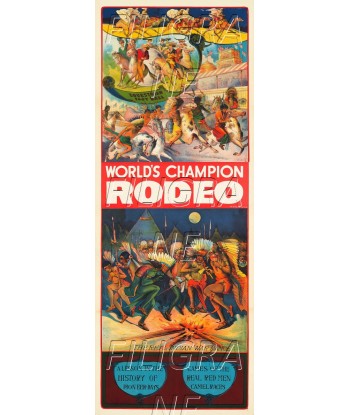 SPORT WORLD'S CHAMPION RODEO  Rpfg-POSTER/REPRODUCTION d1 AFFICHE VINTAGE les ctes