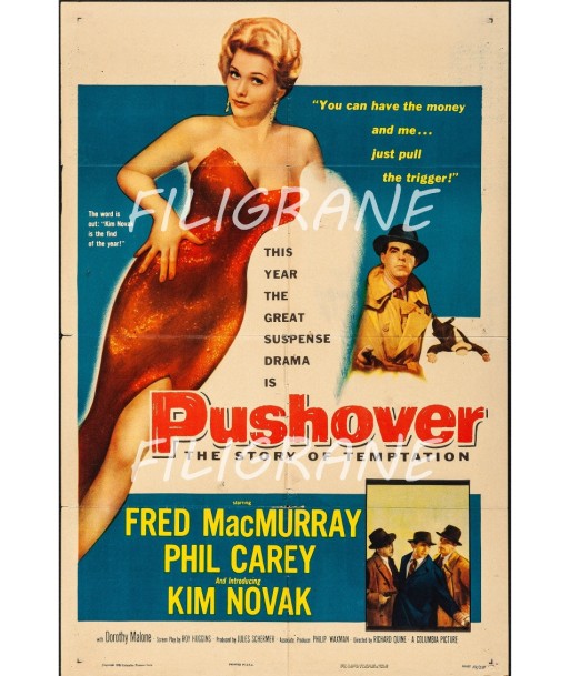 PUSHOVER FILM Rrmh-POSTER/REPRODUCTION d1 AFFICHE VINTAGE pas cher 