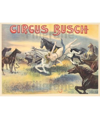 CIRQUE CIRCUS BUSCH CHEVAUX Rvmv-POSTER/REPRODUCTION d1 AFFICHE VINTAGE pas chere