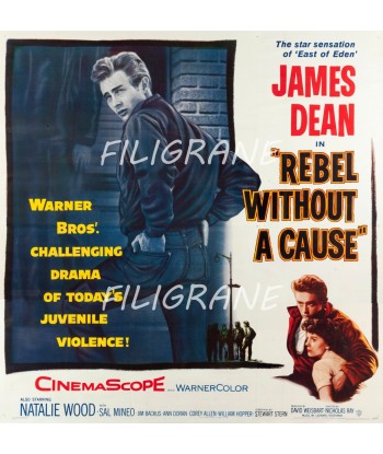 REBEL WITHOUT A CAUSE FILM Raos-POSTER/REPRODUCTION d1 AFFICHE VINTAGE Fin de série