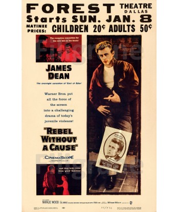 REBEL WITHOUT a CAUSE FILM Rrgj-POSTER/REPRODUCTION d1 AFFICHE VINTAGE l'évolution des habitudes 