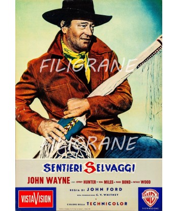 SENTIERI SELVAGGI FILM Rxav-POSTER/REPRODUCTION d1 AFFICHE VINTAGE 2024