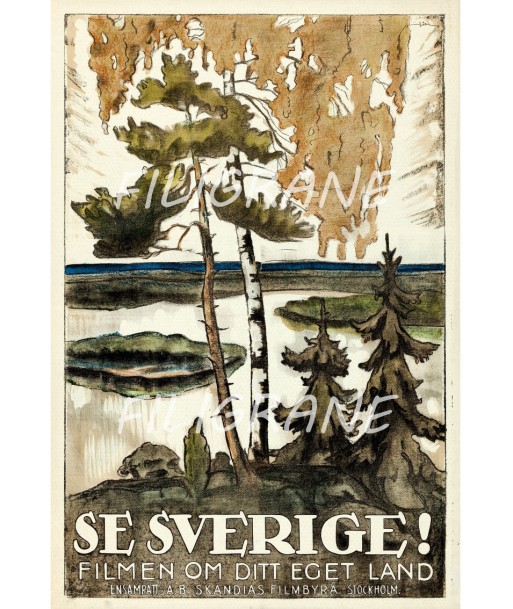 SE SVERIGE  FILM Rzqt-POSTER/REPRODUCTION d1 AFFICHE VINTAGE basket pas cher