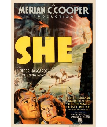 SHE  FILM Rolt-POSTER/REPRODUCTION d1 AFFICHE VINTAGE une grave pollution 