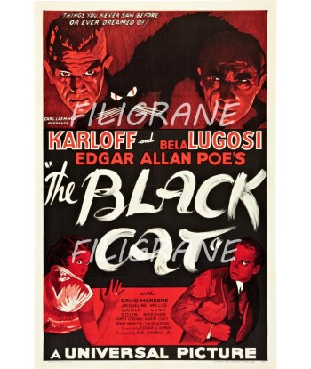 THE BLACK CAT FILM Rhfb-POSTER/REPRODUCTION d1 AFFICHE VINTAGE store