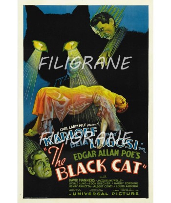 THE BLACK CAT FILM Rufn-POSTER/REPRODUCTION d1 AFFICHE VINTAGE meilleur choix