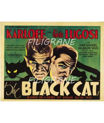 THE BLACK CAT FILM Rxcg-POSTER/REPRODUCTION d1 AFFICHE VINTAGE Amélioration de cerveau avec