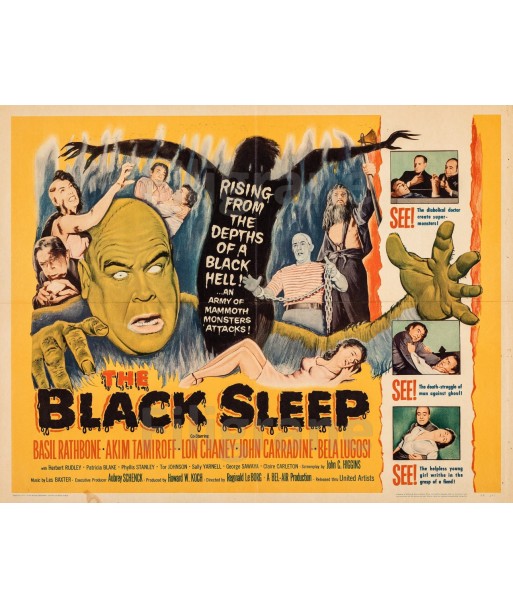 THE BLACK SLEEP FILM Rdsf-POSTER/REPRODUCTION d1 AFFICHE VINTAGE Fin de série