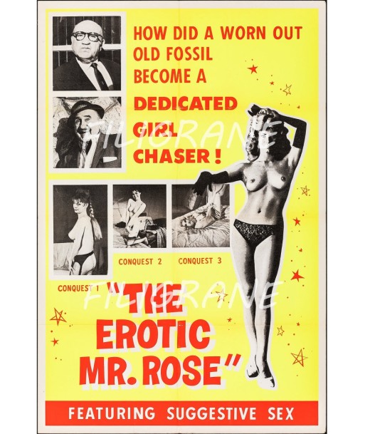 THE EROTIC M ROSE FILM Rtvj-POSTER/REPRODUCTION d1 AFFICHE VINTAGE les ligaments