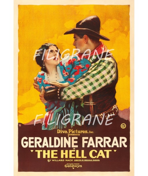 THE HELL CAT FILM Rcux-POSTER/REPRODUCTION d1 AFFICHE VINTAGE rembourrage situé sous