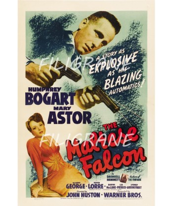 THE MALTESE FALCON FILM Rznu-POSTER/REPRODUCTION d1 AFFICHE VINTAGE s'inspire de l'anatomie humaine