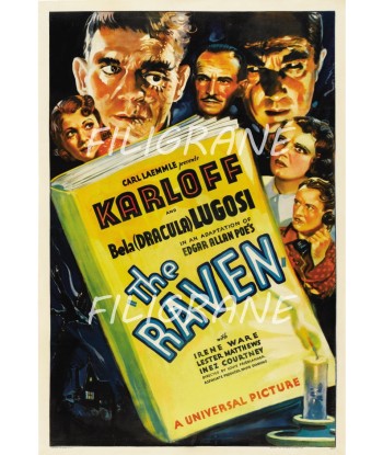 THE RAVEN FILM Revz-POSTER/REPRODUCTION d1 AFFICHE VINTAGE 2 - 3 jours ouvrés.