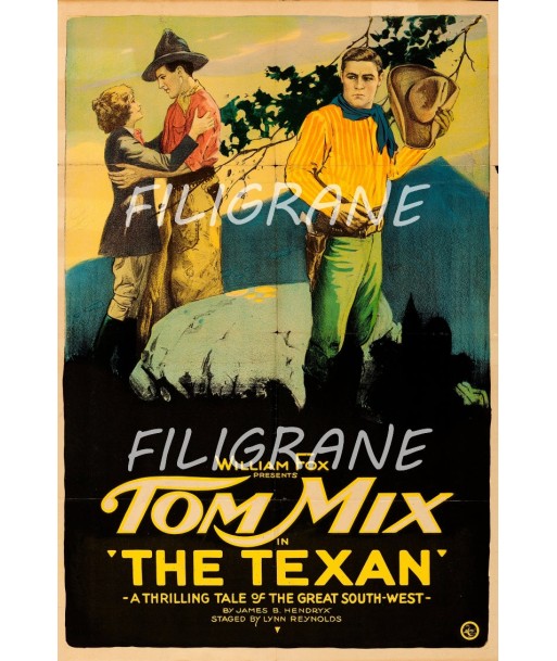 THE TEXAN FILM TOM MIX Rbxw-POSTER/REPRODUCTION d1 AFFICHE VINTAGE pas cheres