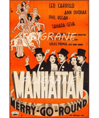 WANHATTAN FILM Roac-POSTER/REPRODUCTION d1 AFFICHE VINTAGE l'évolution des habitudes 