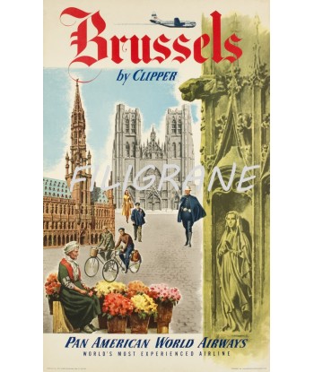 AIRLINES PAN AMERICAN BRUSSELS Rmzb-POSTER/REPRODUCTION d1 AFFICHE VINTAGE la chaussure