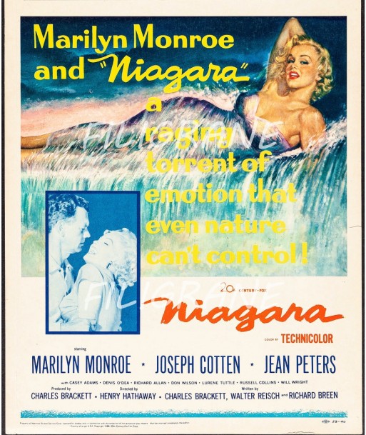 NIAGARA FILM Raps-POSTER/REPRODUCTION d1 AFFICHE VINTAGE rembourrage situé sous